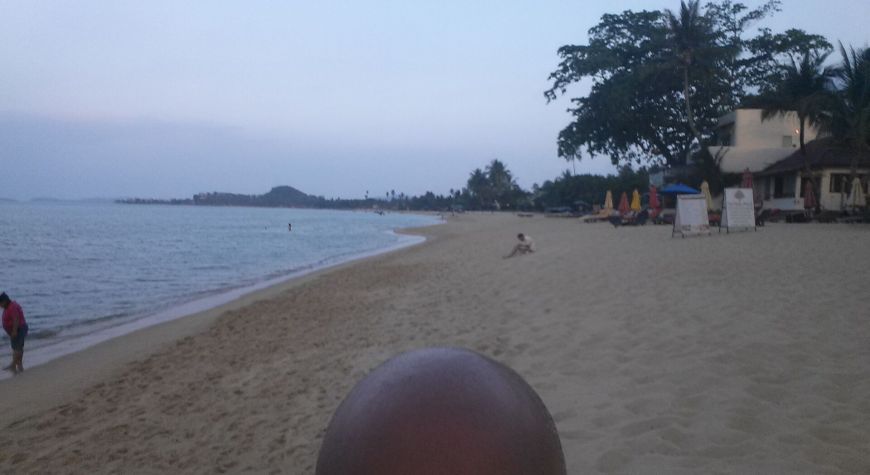 BaldScape